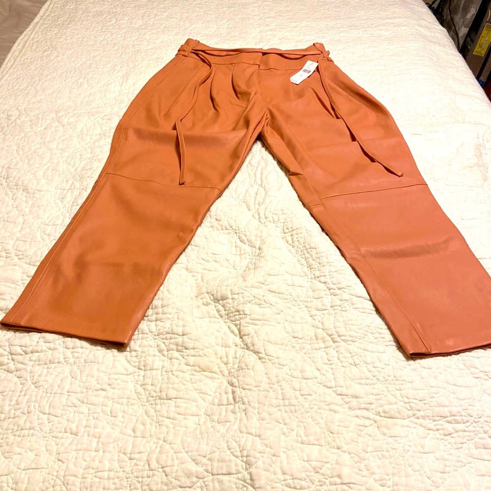 Anthropology faux leather pants, new with tag on. Size 26
